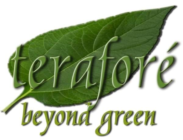 Read more about the article Keeping It Clean & Being Green! Teraforé At LT