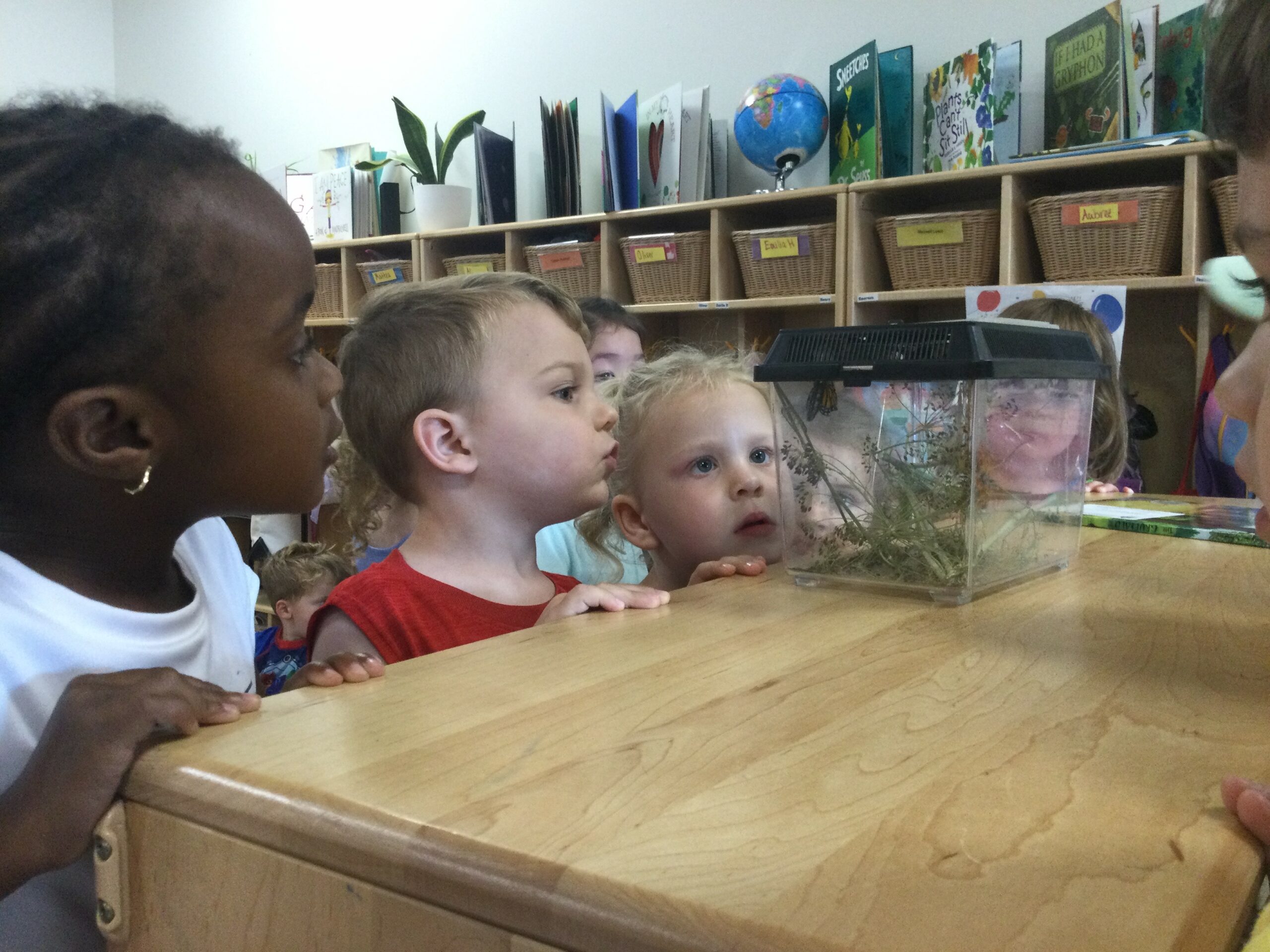 Read more about the article Ms. Danelle Brings Nature to Her Classroom!
