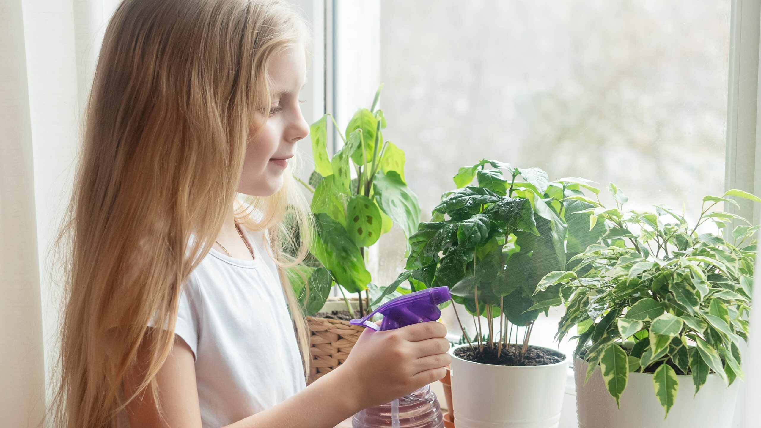 Read more about the article Benefits of Having Plants in the Classroom