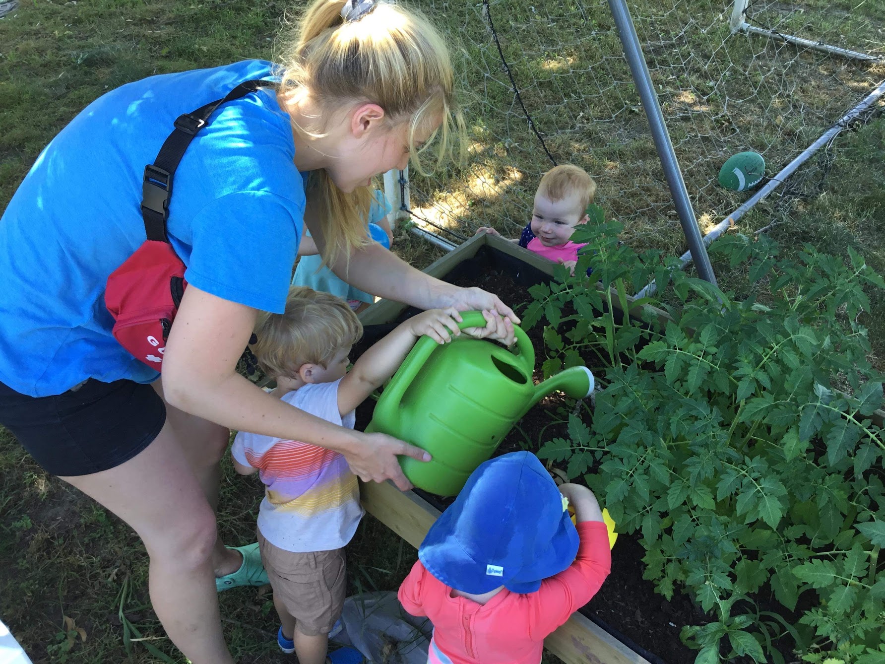 Read more about the article Tips to Involve your Children in Gardening